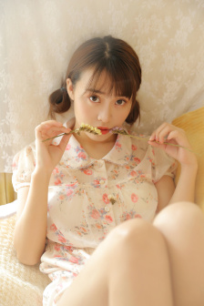 怪侠一枝梅2